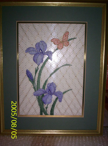 Iris and Butterfly