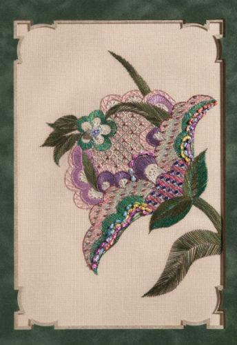 Jacobean Joy